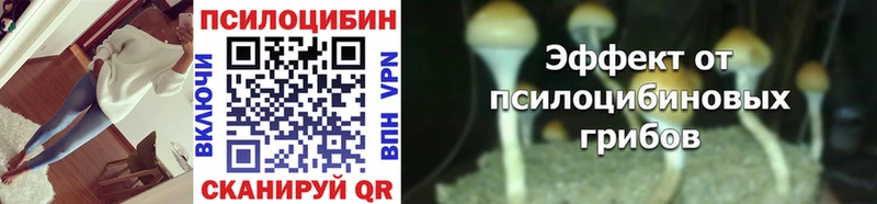 Псилоцибиновые грибы GOLDEN TEACHER  Полтавская 